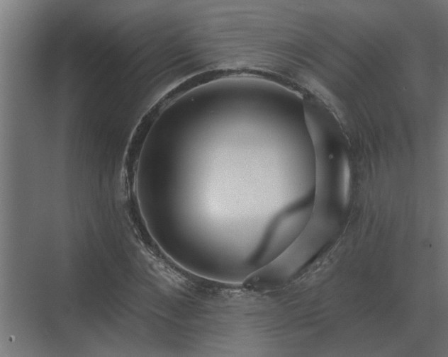 X0000075400876200609151818