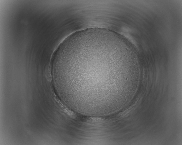 X0000075400878200609151818