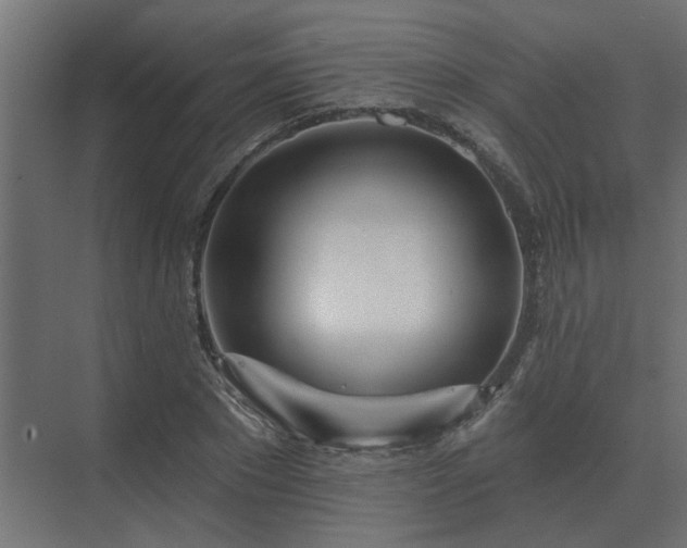 X0000075400881200609151817