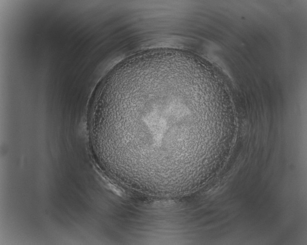 X0000075400882200609151817