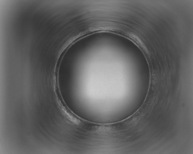X0000075400890200609151817