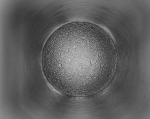 X0000075400903200609151817