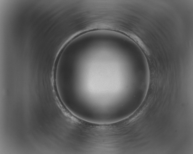 X0000075400904200609151817