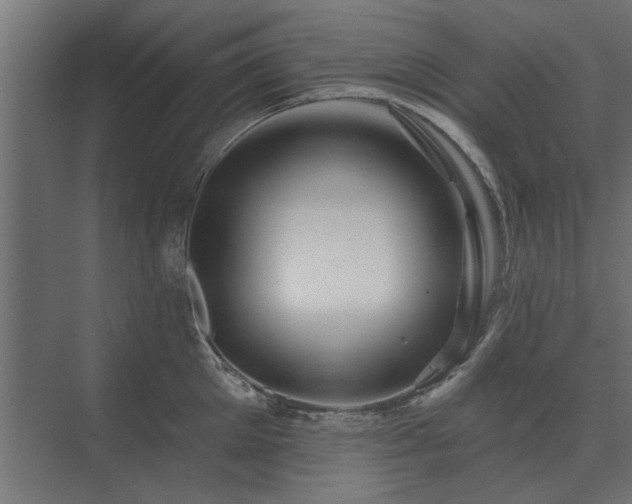 X0000075400905200609151817