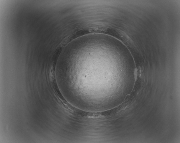X0000075400915200609151816