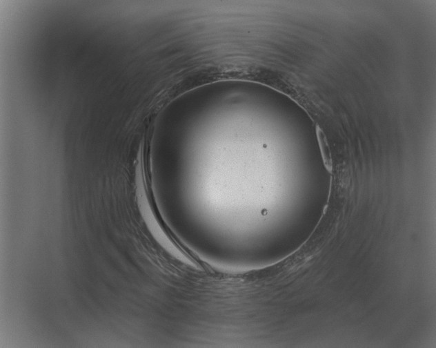 X0000075400916200609151816