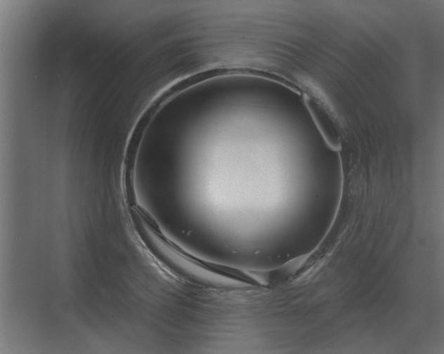 X0000075400932200609151816