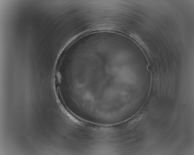 X0000075400941200609151817