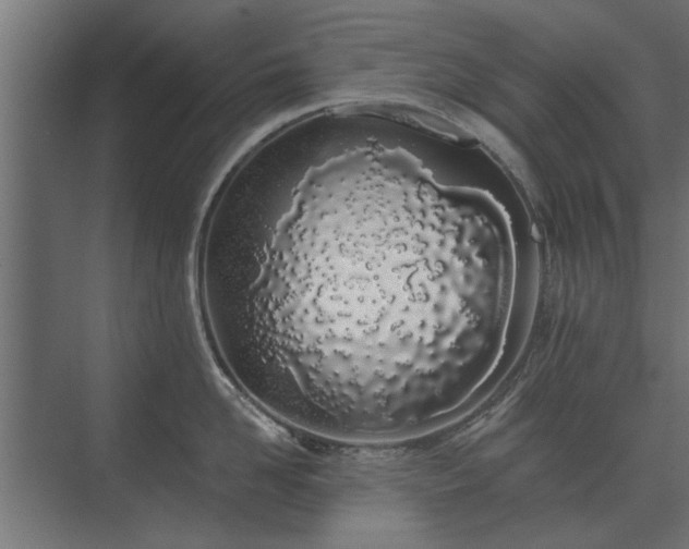 X0000075400958200609151817