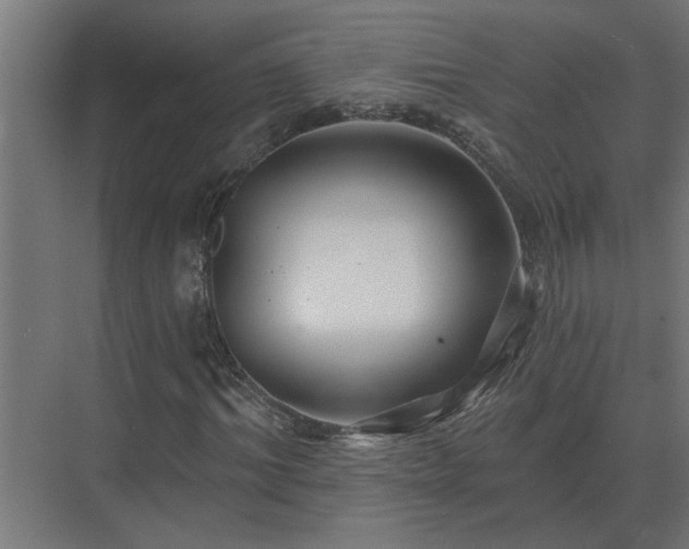 X0000075400964200609151816