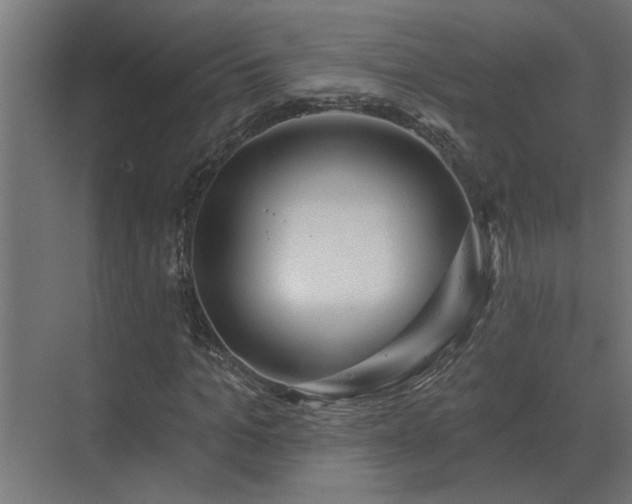 X0000075400965200609151816