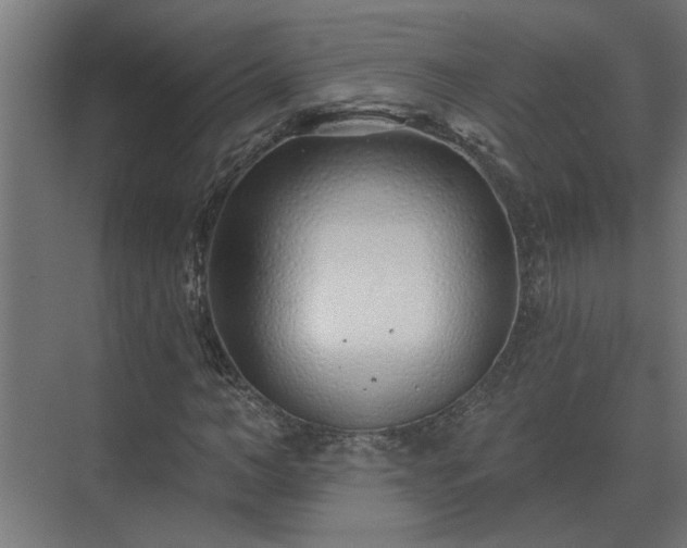 X0000075400966200609151816