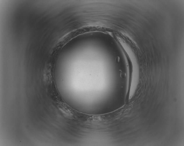 X0000075400968200609151816