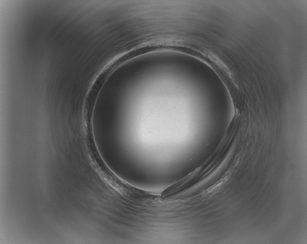 X0000075400981200609151816