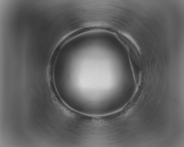 X0000075400983200609151816