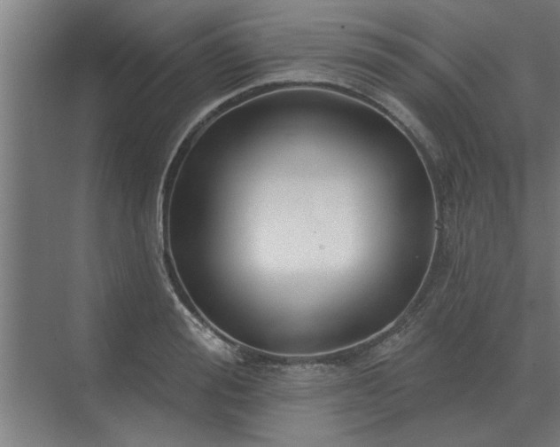 X0000075400988200609151816