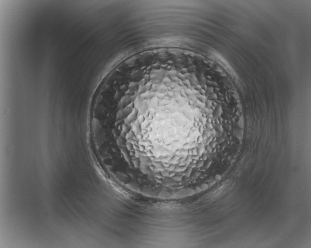 X0000075400994200609151816