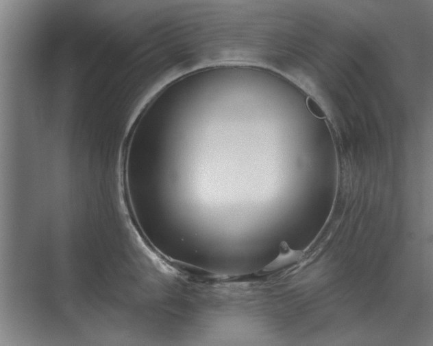 X0000075401006200609151815