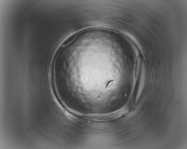X0000075401007200609151815