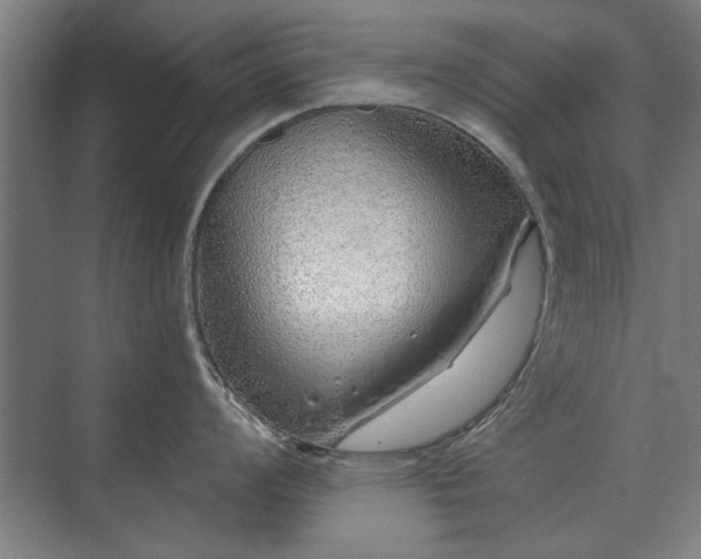 X0000075401008200609151815