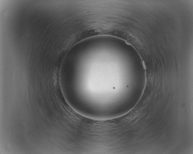 X0000075401012200609151815