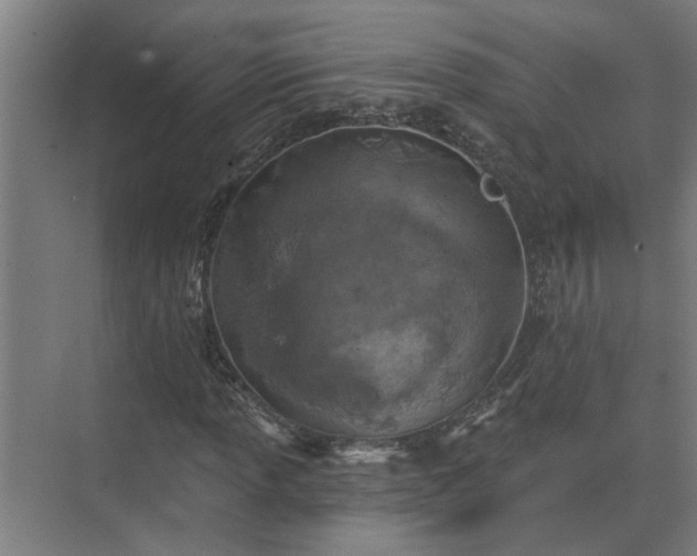 X0000075401013200609151815