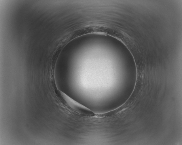 X0000075401014200609151815