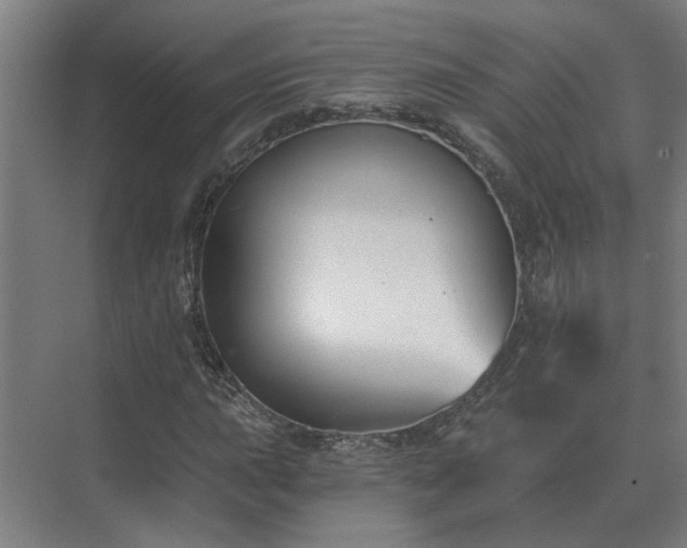 X0000075401015200609151815