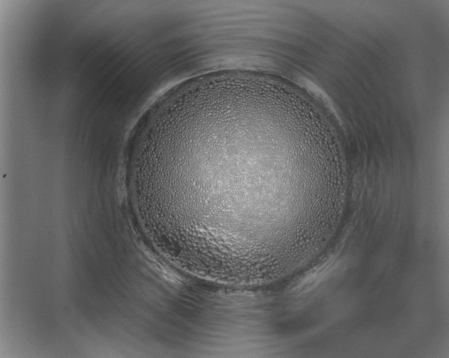 X0000075401019200609151815