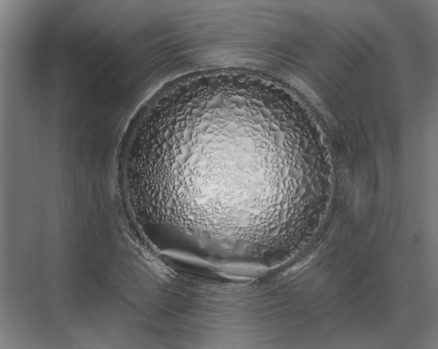 X0000075401023200609151815