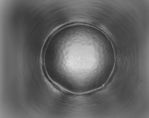 X0000075401028200609151815