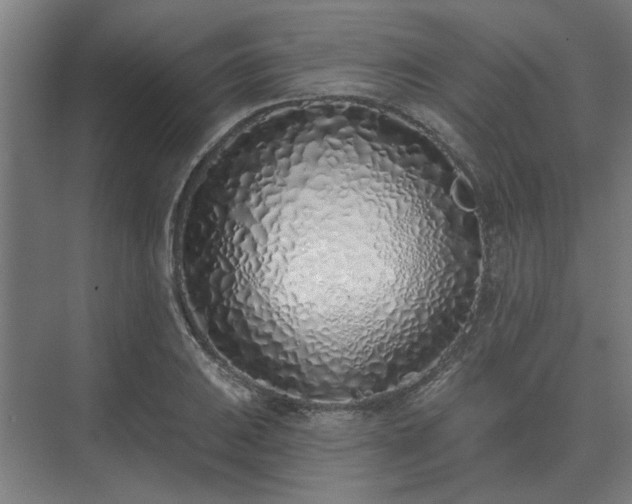 X0000075401031200609151815