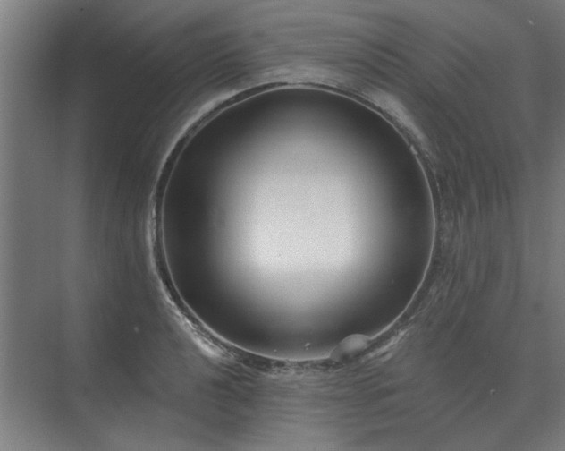 X0000075401040200609151815