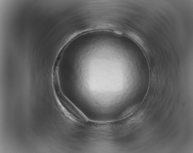 X0000075401047200609151815
