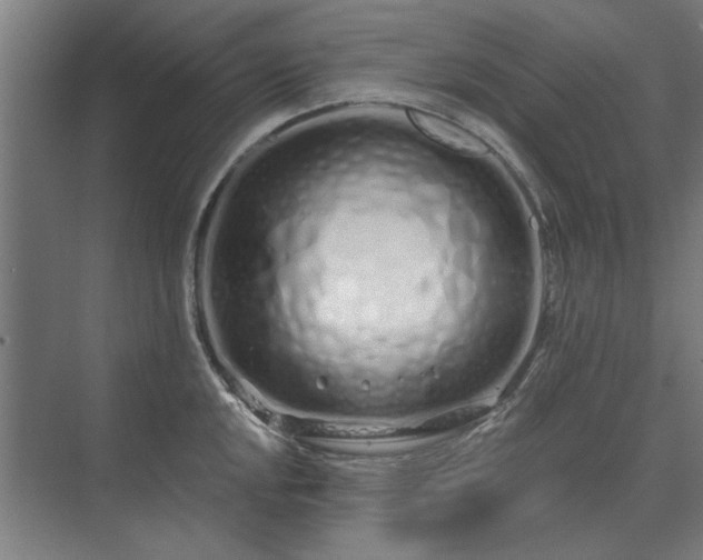 X0000075401048200609151815