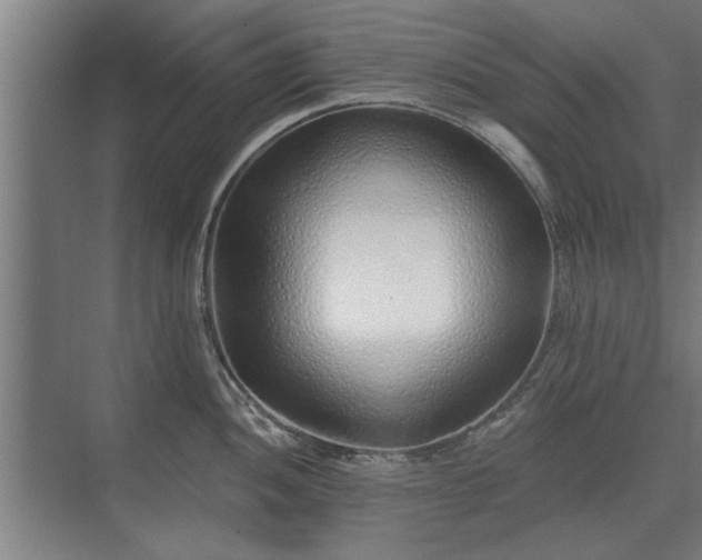 X0000075401052200609151815