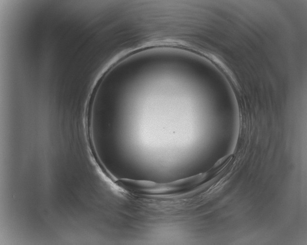 X0000075401054200609151815