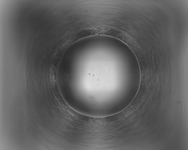 X0000075401058200609151814
