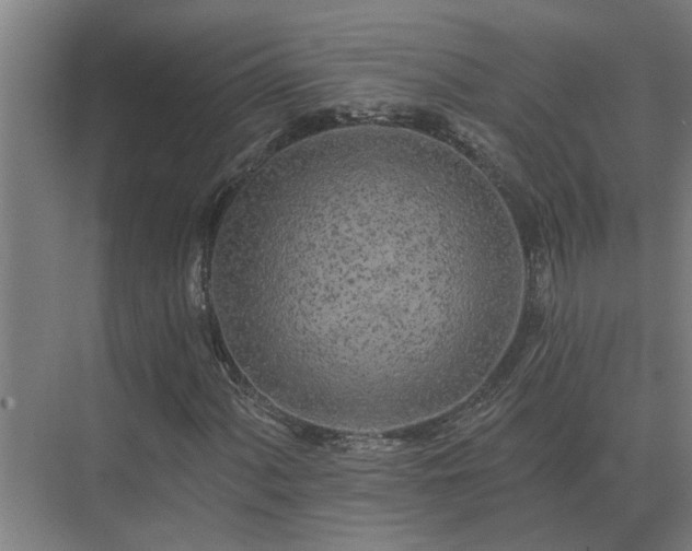 X0000075401060200609151814