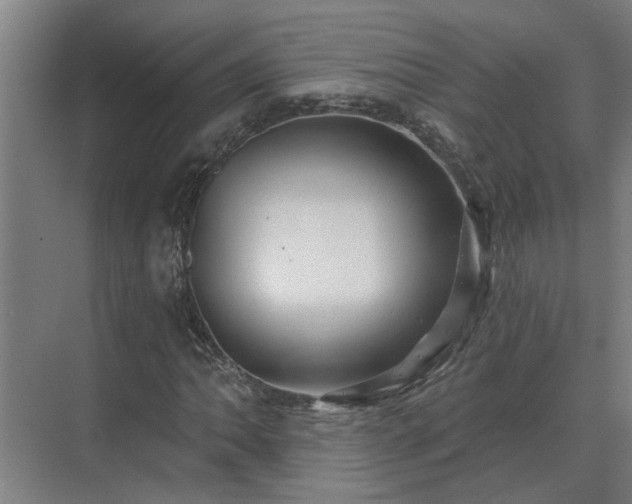 X0000075401062200609151814