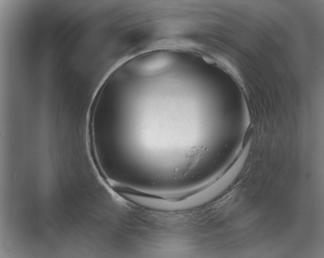 X0000075401103200609151814