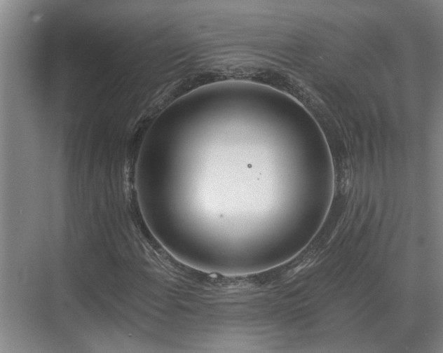 X0000075401108200609151813