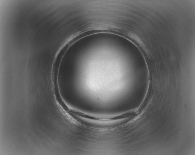 X0000075401122200609151813
