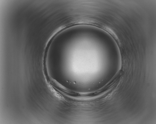 X0000075401138200609151813