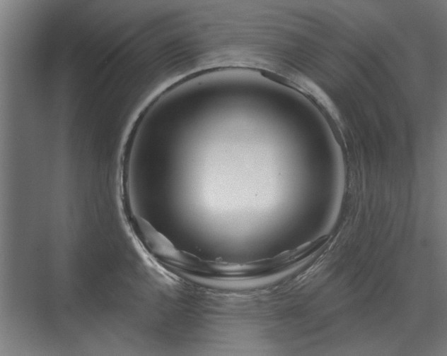 X0000075401144200609151814