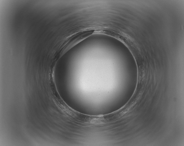 X0000075401161200609151813