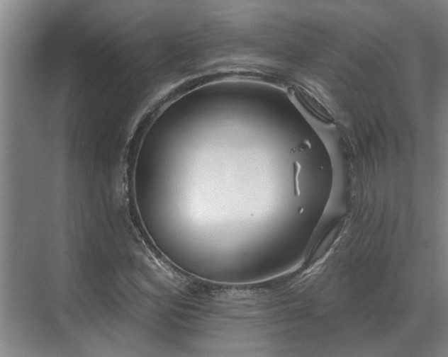 X0000075401164200609151813