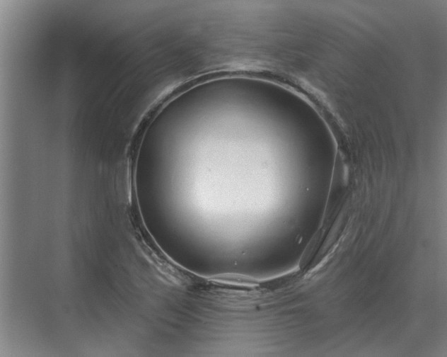 X0000075401171200609151813