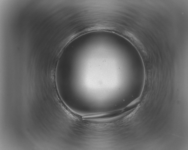 X0000075401185200609151812