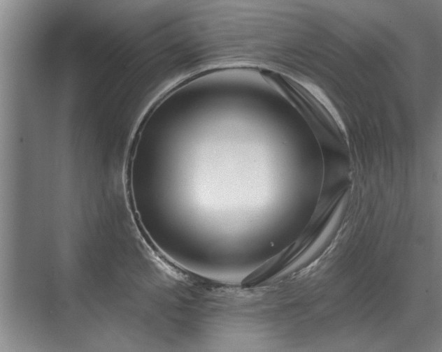 X0000075401197200609151812